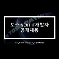 인터넷금융 토스 NEXT개발자 채용