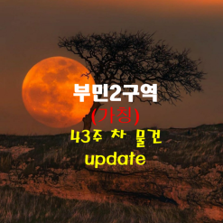 정비구역 지정(안) 공람 중인 가칭 부민2구역 43주 차 물건 update