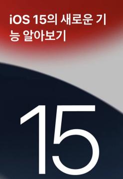 아이폰 iOS15 라이브텍스트 활성화 하기
