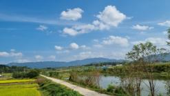 다시 한번 찾아간 곡성!