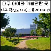 대구 아이와 가볼만한곳 : 대구 혁신도시 핑크뮬리 대구 혁신도시 공원 코스모스