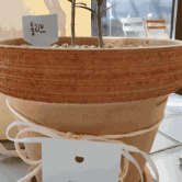 택이의 일상 #플로프트(floft) 올리브화분