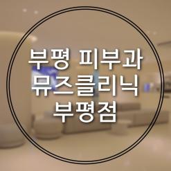 부평 피부과 뮤즈클리닉 부평점