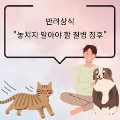 강아지, 고양이 놓치지 말아야 할 질병징후, 질병징후 반려상식