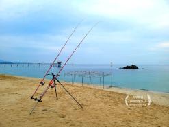 [울진 후정해수욕장]해변낚시 차박을 함께 즐길 수 있는 곳(죽변 해변 스카이레일)