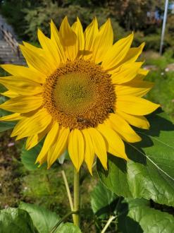 괄사5-321)소아경풍(경끼)