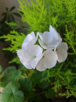 친구가 전학을 간대.