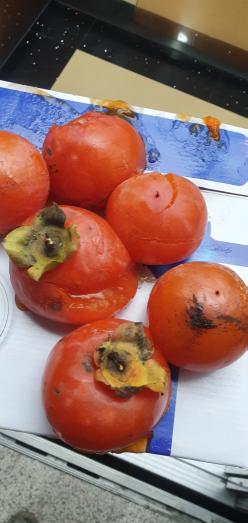 천안 삼룡동 겨울 동파 방지 수도 배관 물 빼기 작업